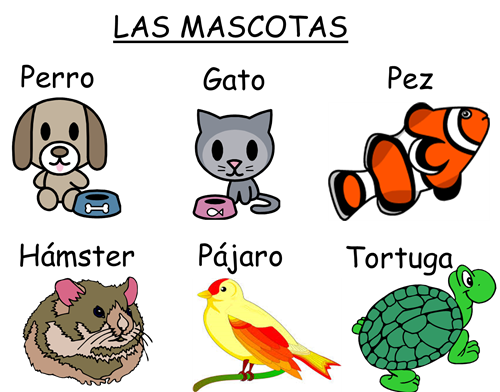 Pets 